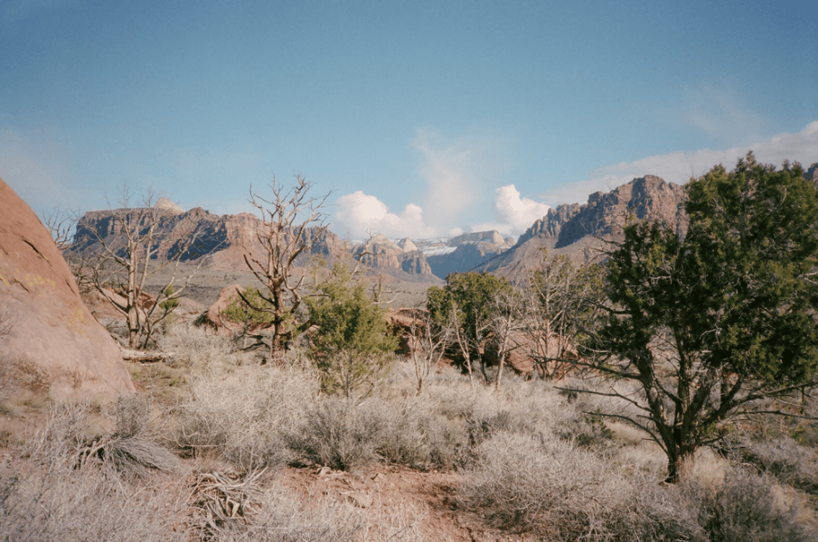Desert scrub beneath snow-dusted cliffs